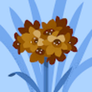 Meet your Posher, Liliana